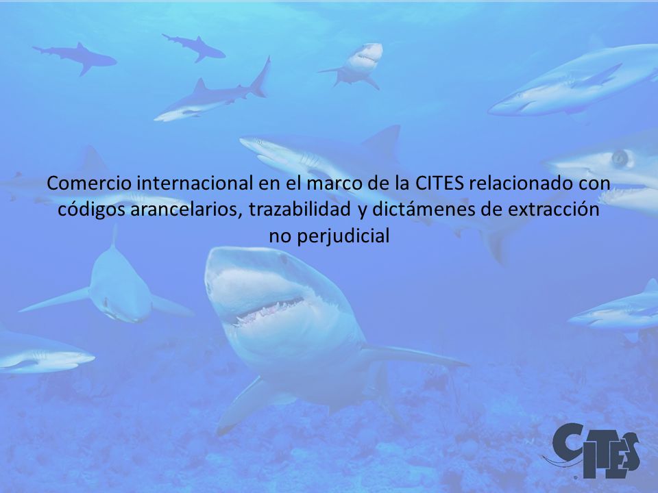 Comercio internacional en el marco de la CITES relacionado con códigos arancelarios, trazabilidad y dictámenes de extracción no perjudicial