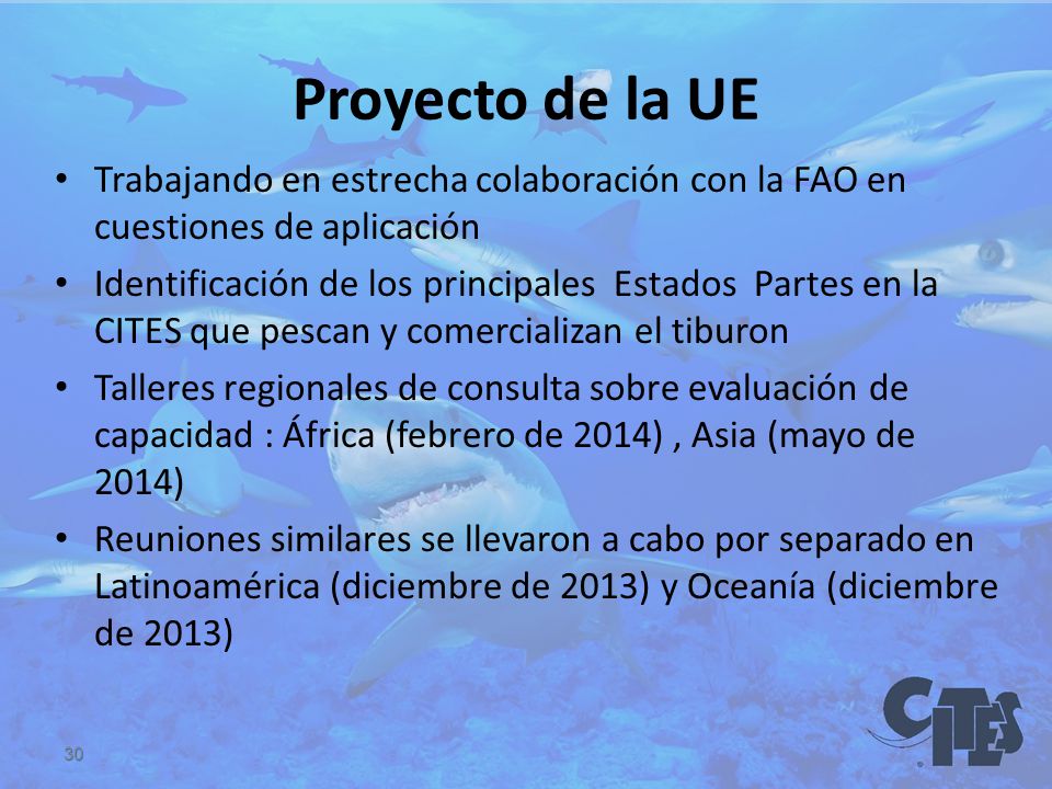 Proyecto de la UE Trabajando en estrecha colaboración con la FAO en cuestiones de aplicación.