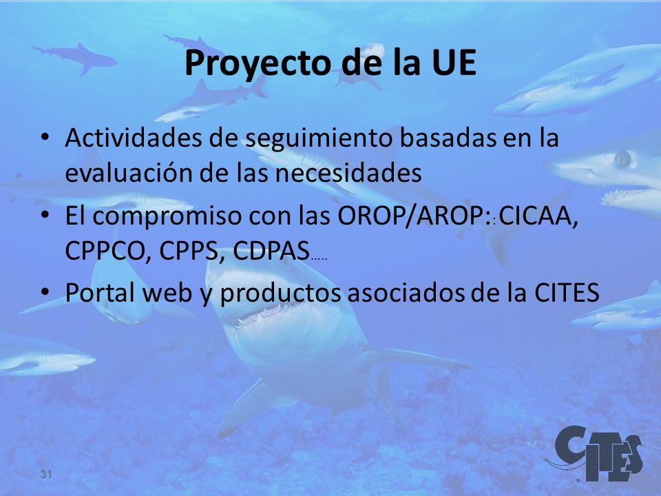 Proyecto de la UE Actividades de seguimiento basadas en la evaluación de las necesidades.
