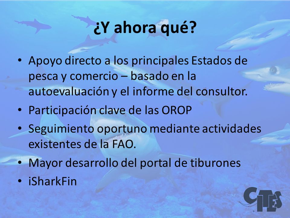 ¿Y ahora qué Apoyo directo a los principales Estados de pesca y comercio – basado en la autoevaluación y el informe del consultor.