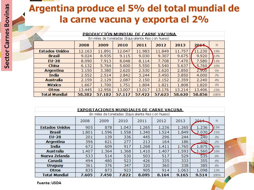 Argentina produce el 5% del total mundial de la carne vacuna y exporta el 2%