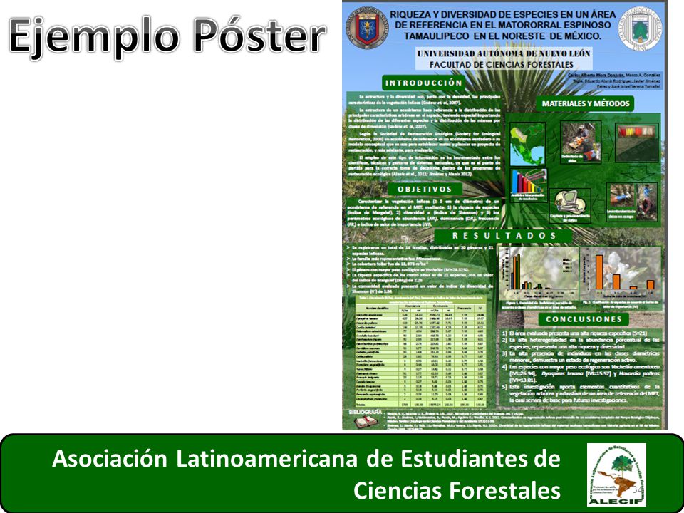 Ejemplo Póster Asociación Latinoamericana de Estudiantes de Ciencias Forestales