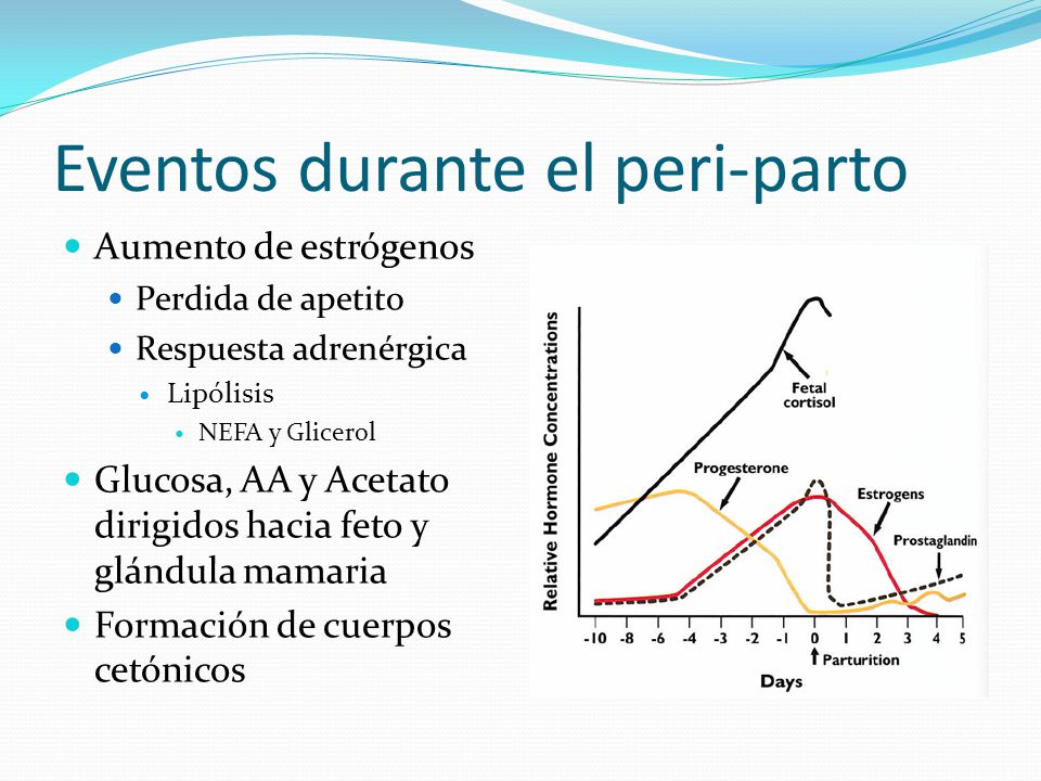 Eventos durante el peri-parto