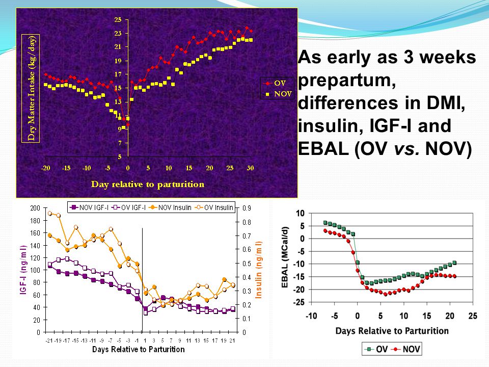 As early as 3 weeks prepartum, differences in DMI, insulin, IGF-I and EBAL (OV vs. NOV)
