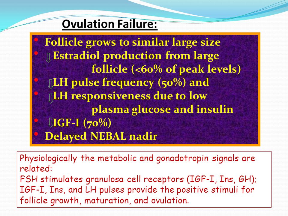 Ovulation Failure: Follicle grows to similar large size