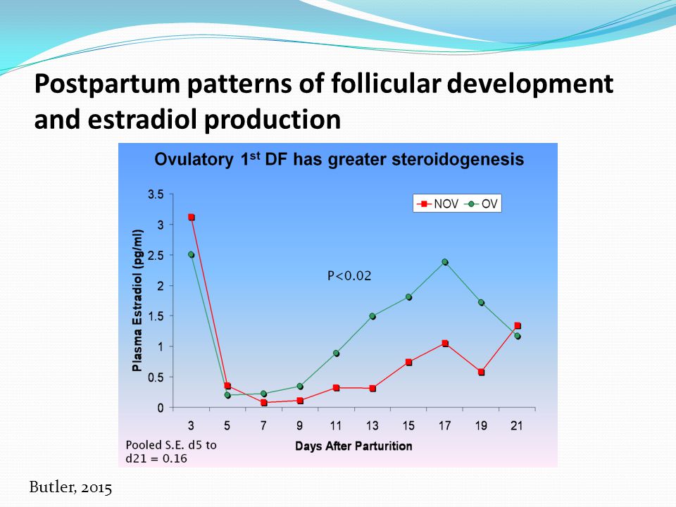 Postpartum patterns of follicular development and estradiol production