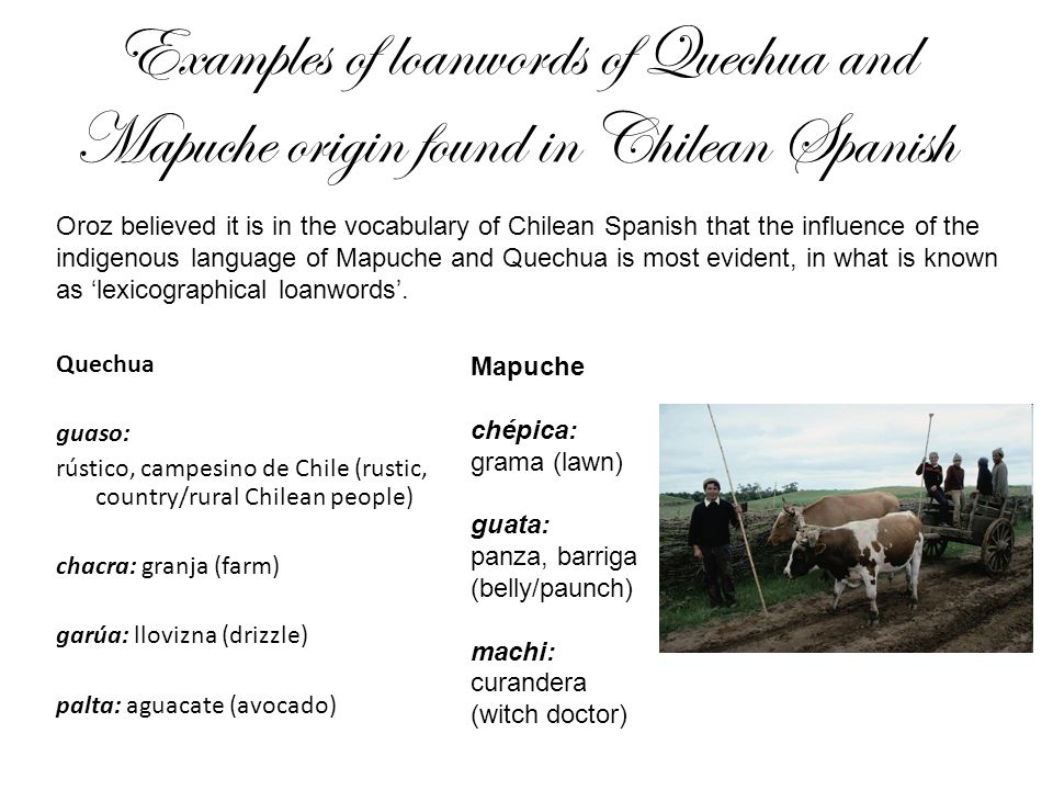 Examples of loanwords of Quechua and Mapuche origin found in Chilean Spanish