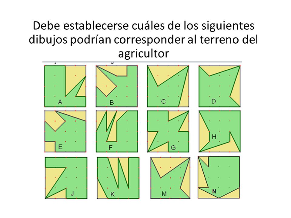 Debe establecerse cuáles de los siguientes dibujos podrían corresponder al terreno del agricultor