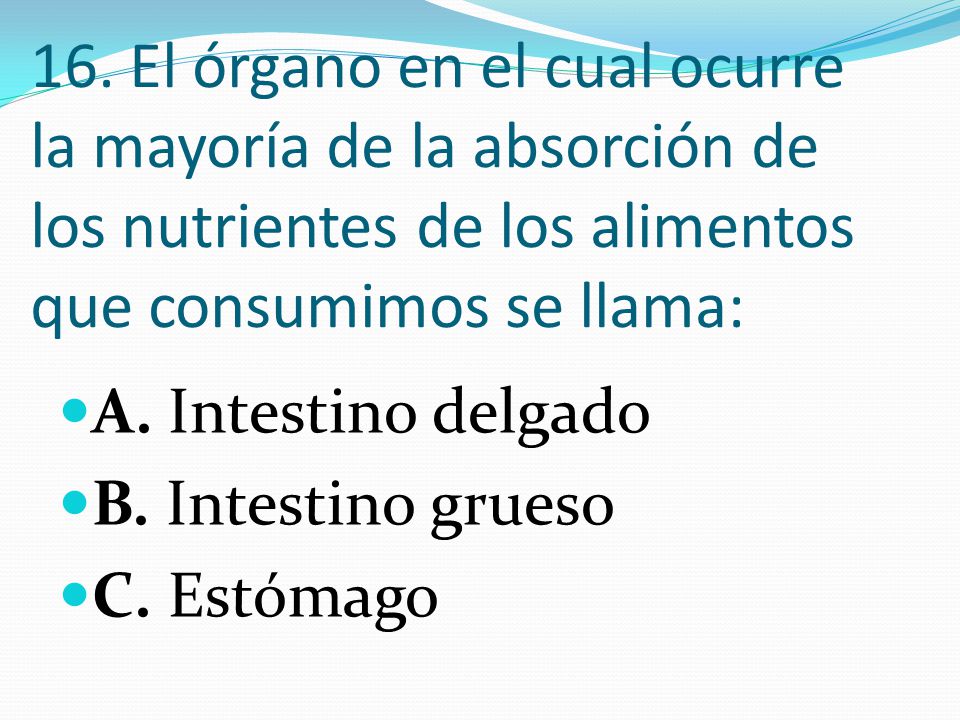 16. El órgano en el cual ocurre la mayoría de la absorción de los nutrientes de los alimentos que consumimos se llama: