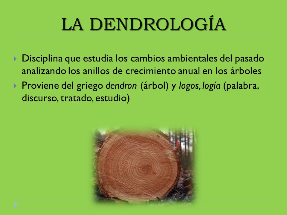 LA DENDROLOGÍA Disciplina que estudia los cambios ambientales del pasado analizando los anillos de crecimiento anual en los árboles.