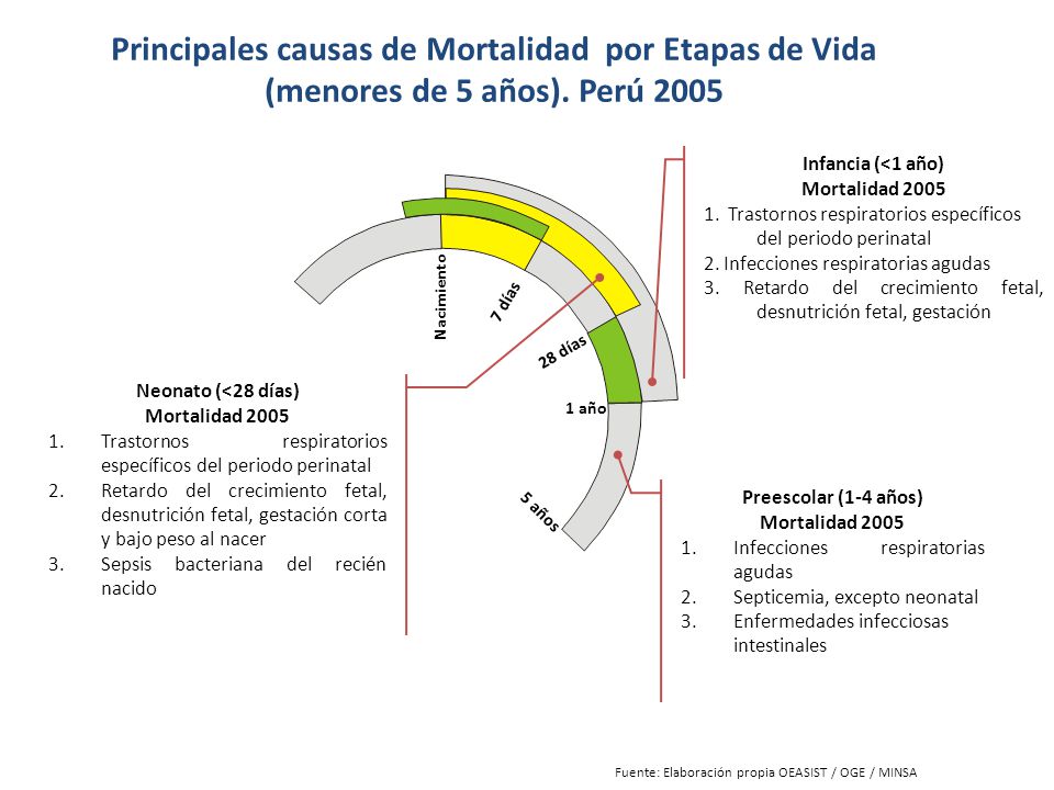 Principales causas de Mortalidad por Etapas de Vida (menores de 5 años). Perú 2005