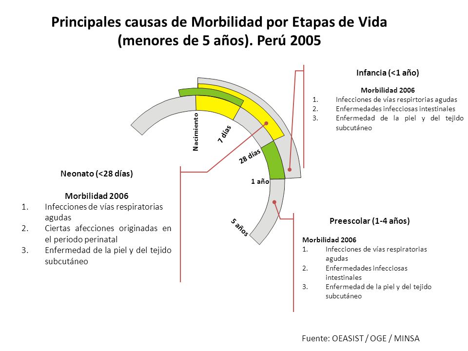 Principales causas de Morbilidad por Etapas de Vida (menores de 5 años). Perú 2005