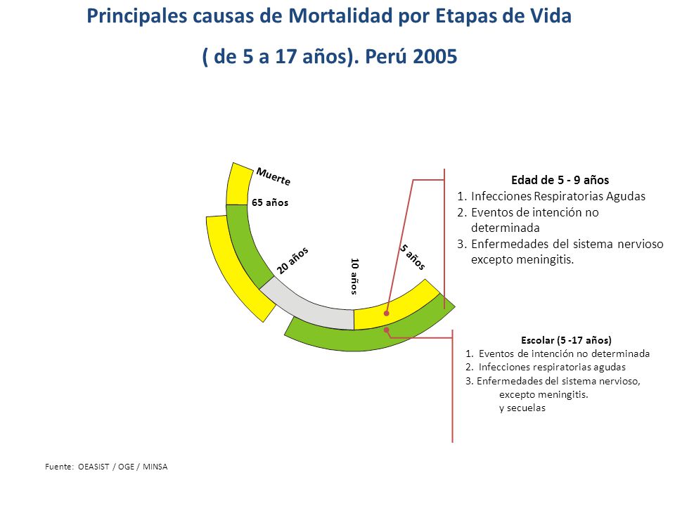 Principales causas de Mortalidad por Etapas de Vida