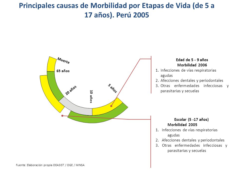 Principales causas de Morbilidad por Etapas de Vida (de 5 a 17 años)