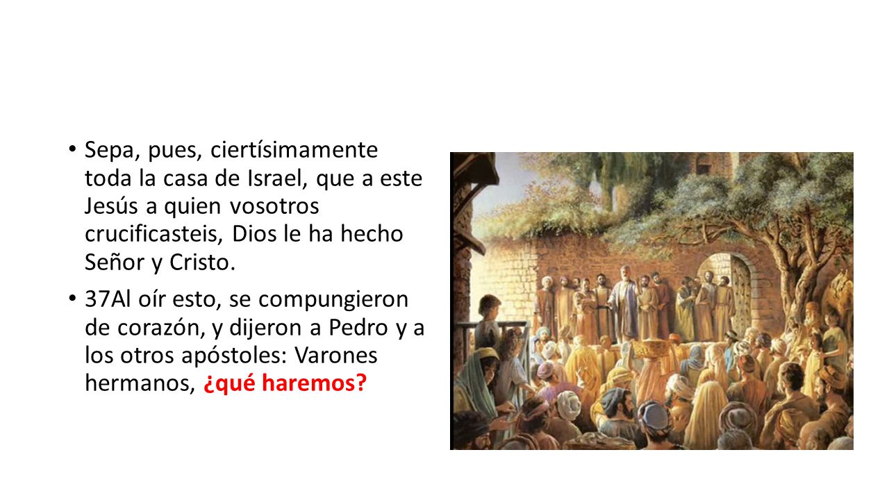 Sepa, pues, ciertísimamente toda la casa de Israel, que a este Jesús a quien vosotros crucificasteis, Dios le ha hecho Señor y Cristo.