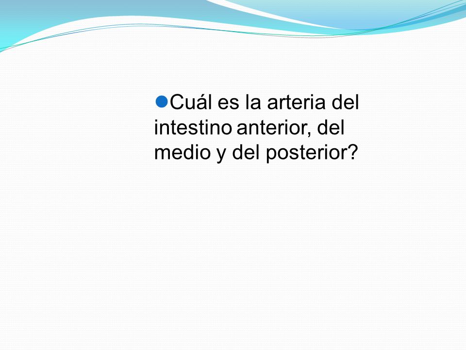 Cuál es la arteria del intestino anterior, del medio y del posterior
