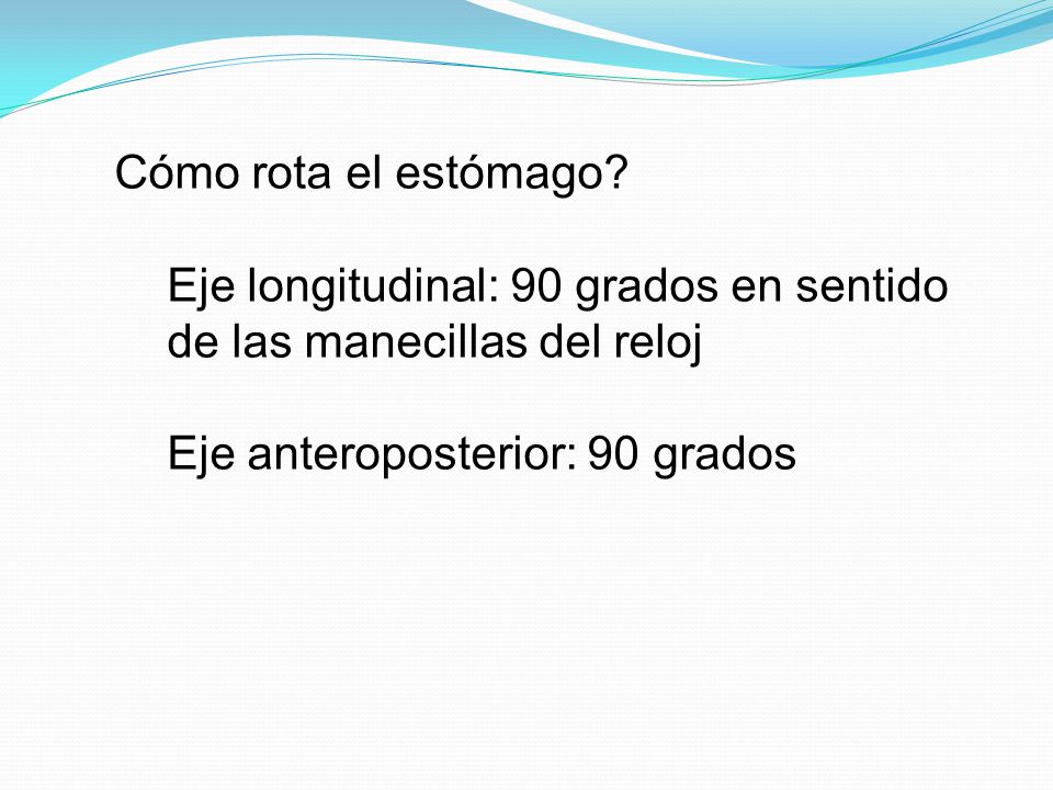 Cómo rota el estómago. Eje longitudinal: 90 grados en sentido de las manecillas del reloj.