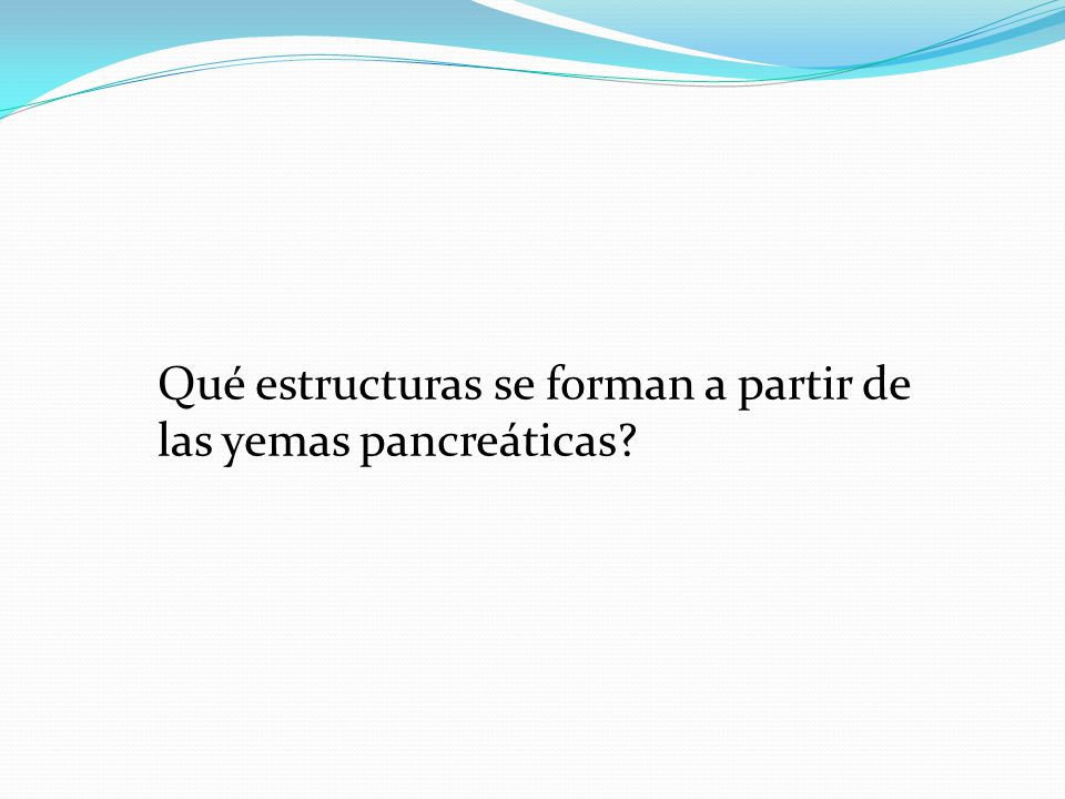 Qué estructuras se forman a partir de las yemas pancreáticas