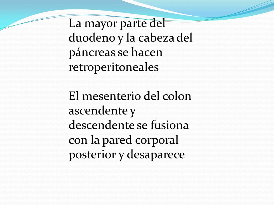 La mayor parte del duodeno y la cabeza del páncreas se hacen retroperitoneales