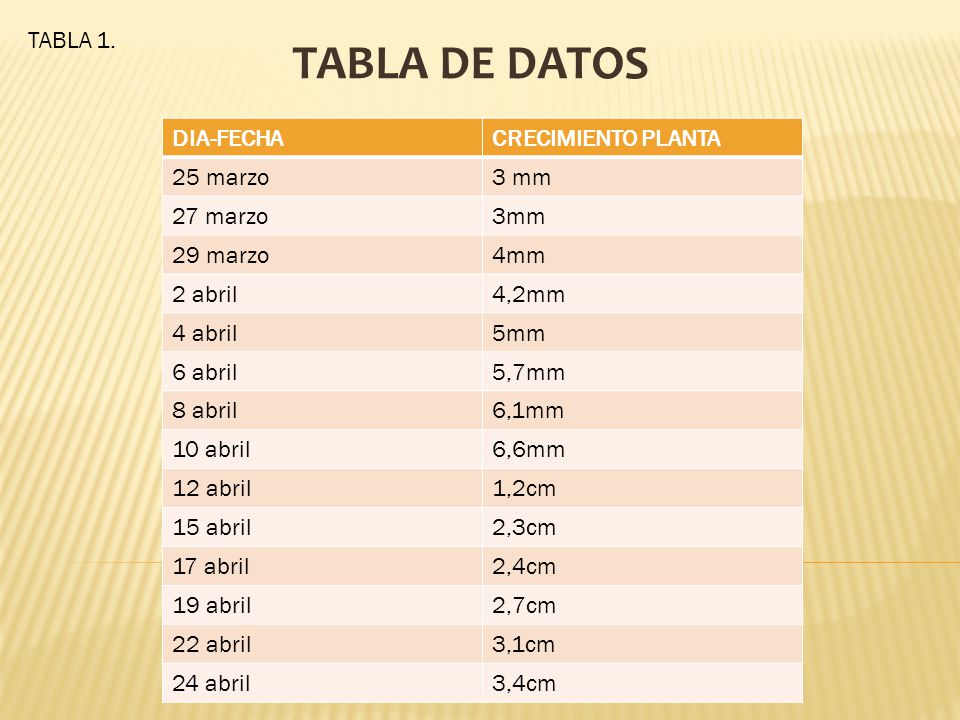 TABLA DE DATOS TABLA 1. DIA-FECHA CRECIMIENTO PLANTA 25 marzo 3 mm