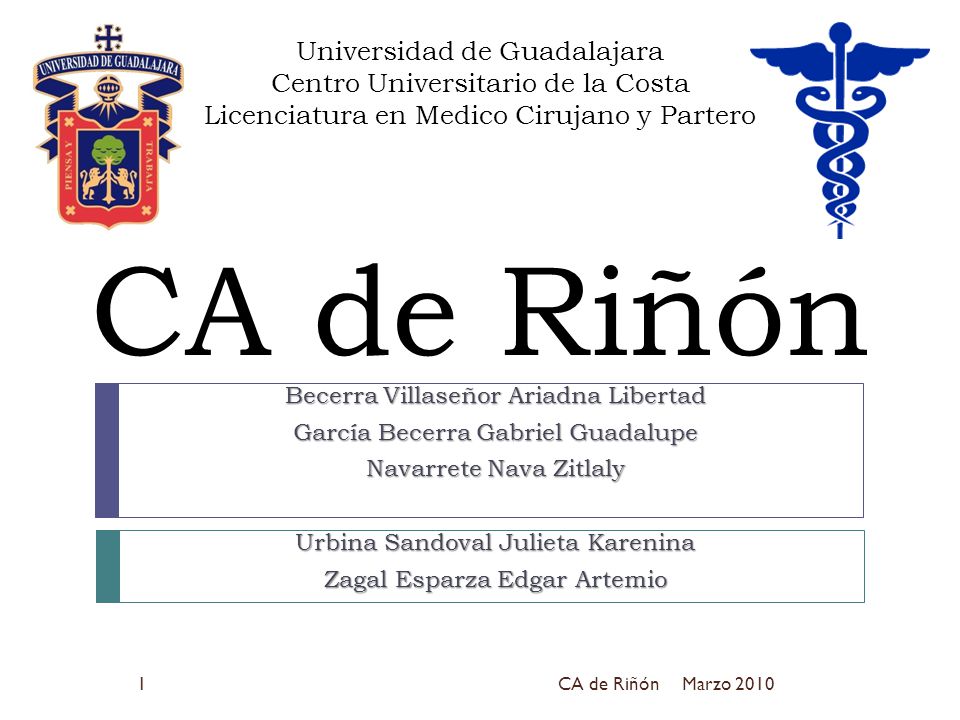 Universidad de Guadalajara Centro Universitario de la Costa Licenciatura en Medico Cirujano y Partero CA de Riñón