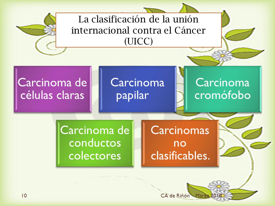 La clasificación de la unión internacional contra el Cáncer (UICC)