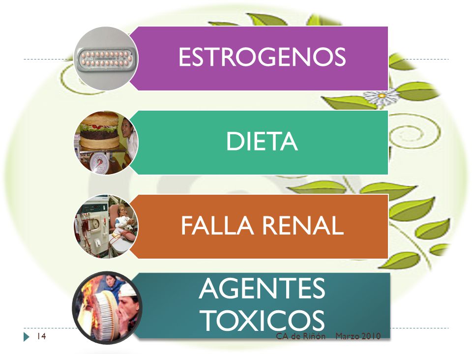 ESTROGENOS DIETA FALLA RENAL AGENTES TOXICOS CA de Riñón Marzo 2010