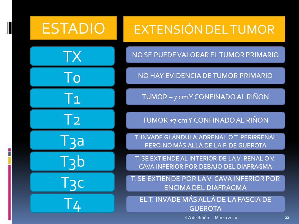 ESTADIO TX T0 T1 T2 T3a T3b T3c T4 EXTENSIÓN DEL TUMOR