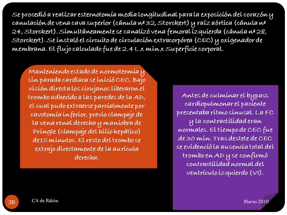Se procedió a realizar esternotomía media longitudinal para la exposición del corazón y canulación de vena cava superior (cánula nº 32, Storckert) y raíz aórtica (cánula nº 24, Storckert). Simultáneamente se canalizó vena femoral izquierda (cánula nº 28, Storckert). Se instaló el circuito de circulación extracorpórea (CEC) y oxigenador de membrana. El flujo calculado fue de 2.4 L x min x Superficie corporal.