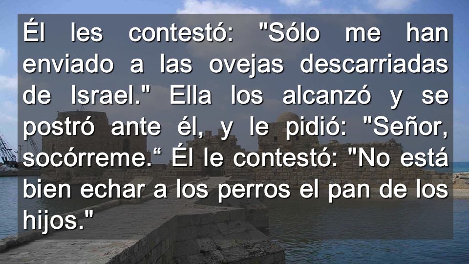 Él les contestó: Sólo me han enviado a las ovejas descarriadas de Israel. Ella los alcanzó y se postró ante él, y le pidió: Señor, socórreme. Él le contestó: No está bien echar a los perros el pan de los hijos.