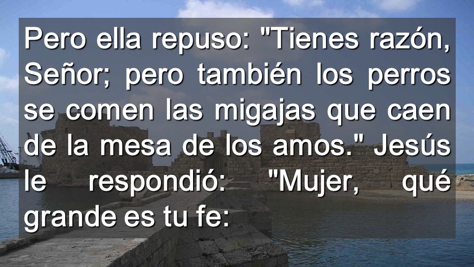 Pero ella repuso: Tienes razón, Señor; pero también los perros se comen las migajas que caen de la mesa de los amos. Jesús le respondió: Mujer, qué grande es tu fe: