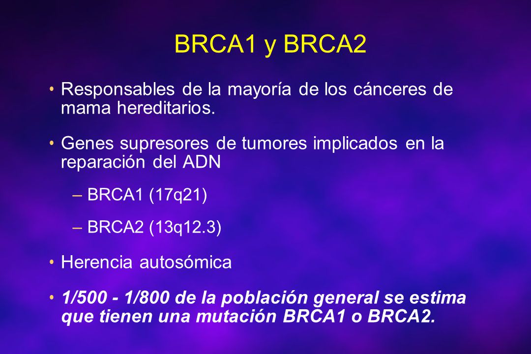 BRCA1 y BRCA2 Responsables de la mayoría de los cánceres de mama hereditarios. Genes supresores de tumores implicados en la reparación del ADN.