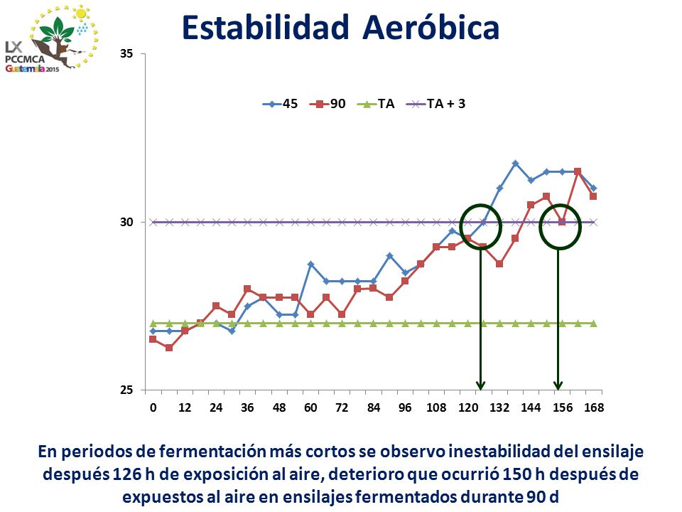 Estabilidad Aeróbica