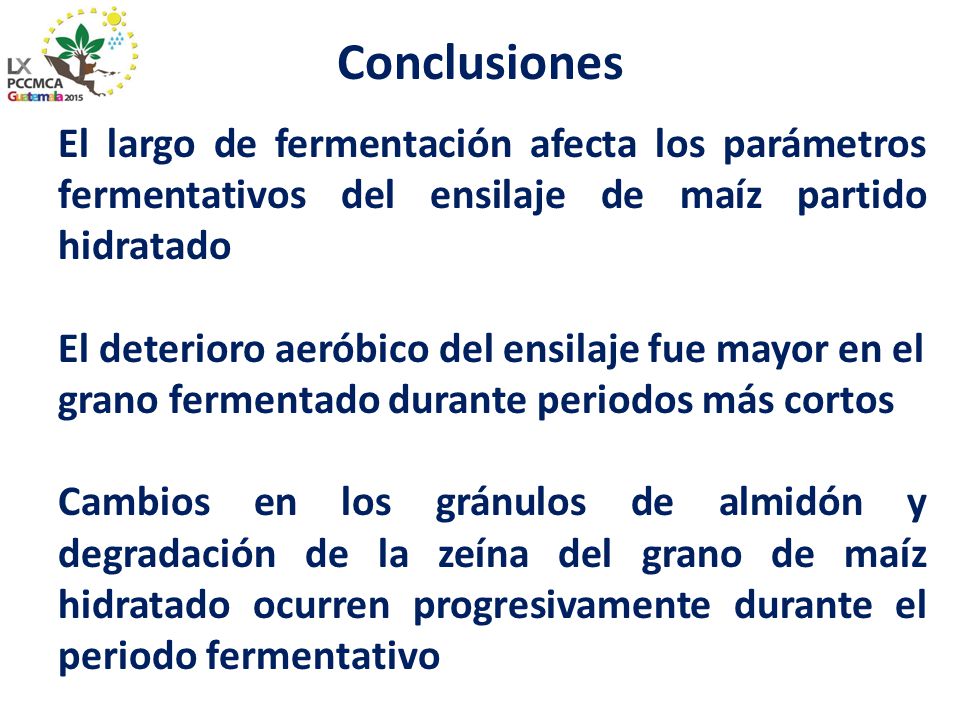 Conclusiones El largo de fermentación afecta los parámetros fermentativos del ensilaje de maíz partido hidratado.