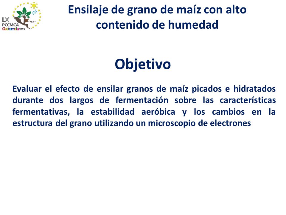 Ensilaje de grano de maíz con alto contenido de humedad