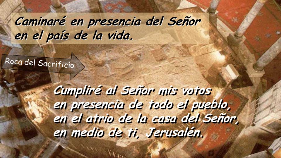 Caminaré en presencia del Señor en el país de la vida.
