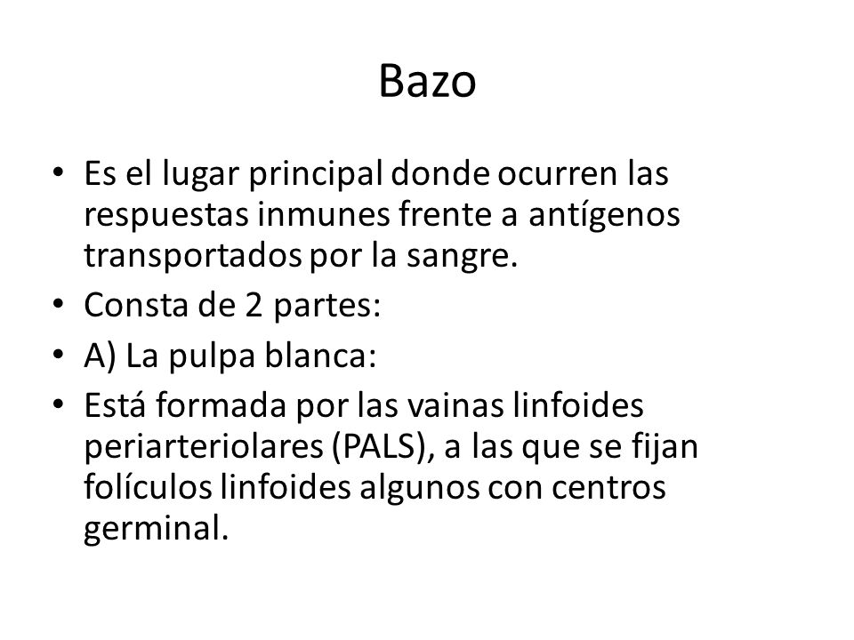 Bazo Es el lugar principal donde ocurren las respuestas inmunes frente a antígenos transportados por la sangre.