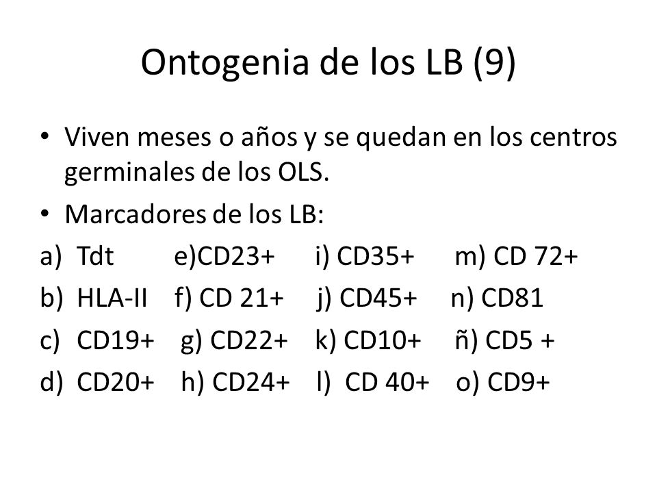 Ontogenia de los LB (9) Viven meses o años y se quedan en los centros germinales de los OLS. Marcadores de los LB:
