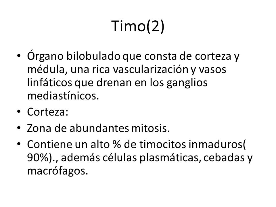 Timo(2) Órgano bilobulado que consta de corteza y médula, una rica vascularización y vasos linfáticos que drenan en los ganglios mediastínicos.