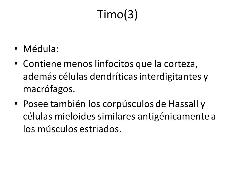 Timo(3) Médula: Contiene menos linfocitos que la corteza, además células dendríticas interdigitantes y macrófagos.