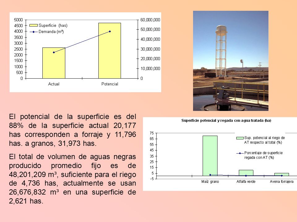 El potencial de la superficie es del 88% de la superficie actual 20,177 has corresponden a forraje y 11,796 has. a granos, 31,973 has.