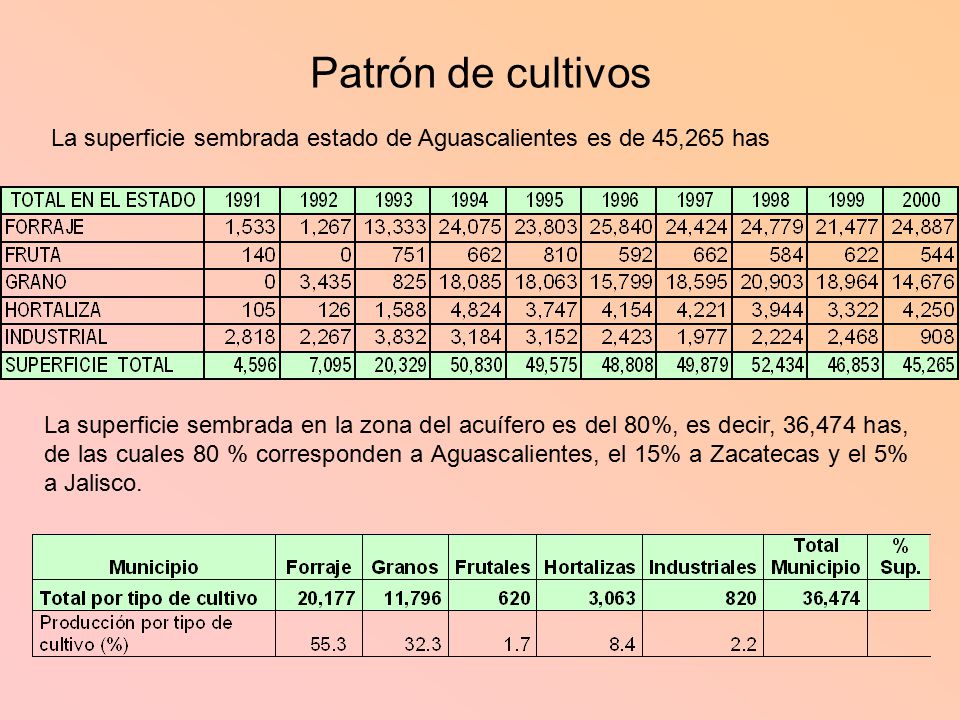 Patrón de cultivos La superficie sembrada estado de Aguascalientes es de 45,265 has.