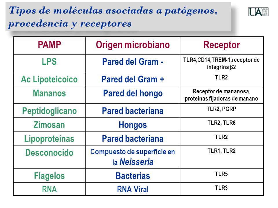 Tipos de moléculas asociadas a patógenos, procedencia y receptores