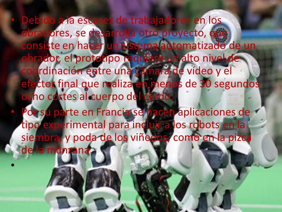 Debido a la escasez de trabajadores en los obradores, se desarrolla otro proyecto, que consiste en hacer un sistema automatizado de un obrador, el prototipo requiere un alto nivel de coordinación entre una cámara de vídeo y el efector final que realiza en menos de 30 segundos ocho cortes al cuerpo del cerdo.