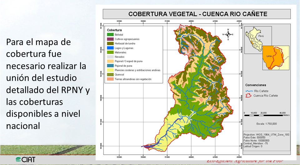 Para el mapa de cobertura fue necesario realizar la unión del estudio detallado del RPNY y las coberturas disponibles a nivel nacional