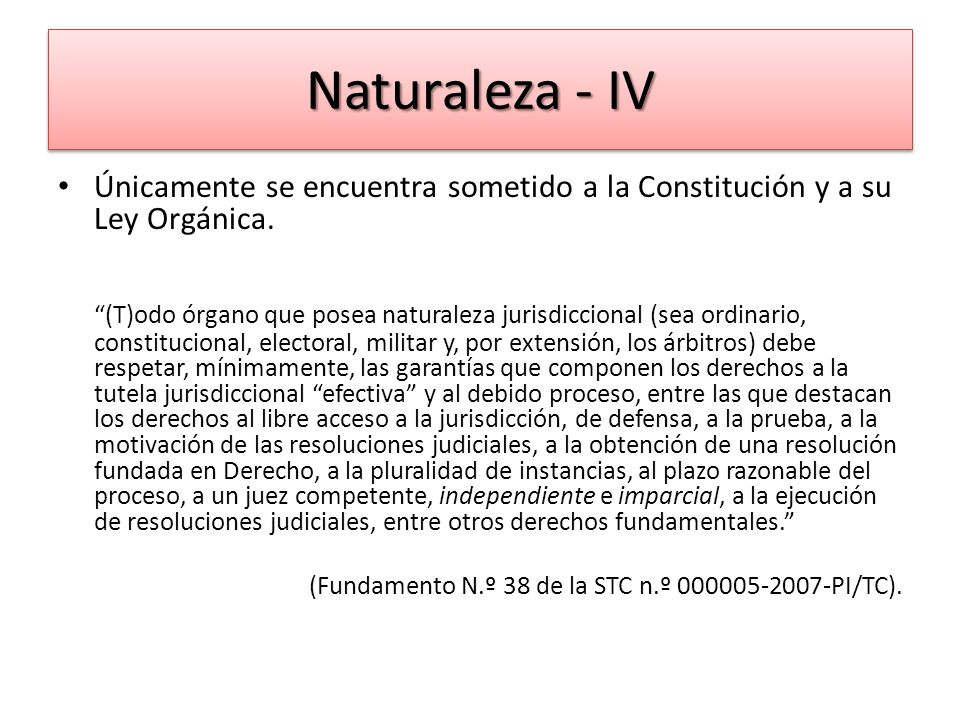 Naturaleza - IV Únicamente se encuentra sometido a la Constitución y a su Ley Orgánica.
