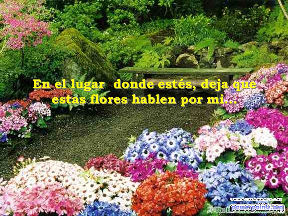 En el lugar donde estés, deja que estas flores hablen por mi...