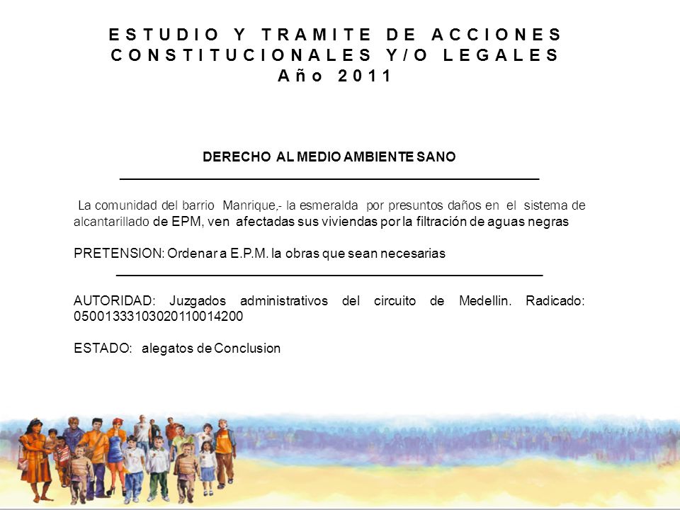 ESTUDIO Y TRAMITE DE ACCIONES CONSTITUCIONALES Y/O LEGALES Año 2011