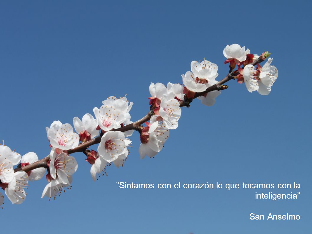 Sintamos con el corazón lo que tocamos con la inteligencia
