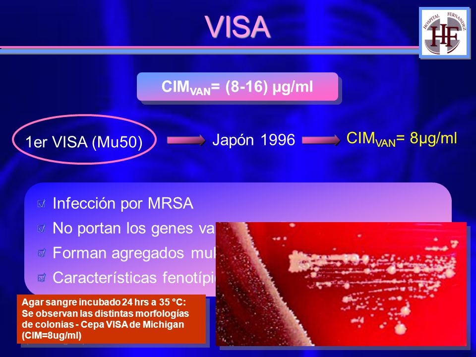 VISA CIMVAN= (8-16) µg/ml CIMVAN= 8µg/ml Japón er VISA (Mu50)